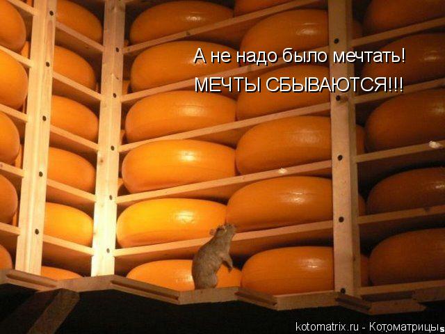 Котоматрица: А не надо было мечтать! МЕЧТЫ СБЫВАЮТСЯ!!!