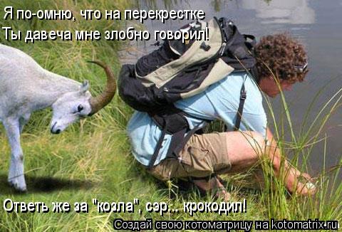 Котоматрица: Я по-омню, что на перекрестке Ты давеча мне злобно говорил! Ответь же за "козла", сэр... крокодил! Ответь же за "козла", сэр... крокодил!