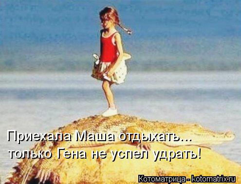 Приехала Маша отдыхать... только Гена не успел удрать!... Котоматрица: Приехала Маша отдыхать... только Гена не успел удрать!