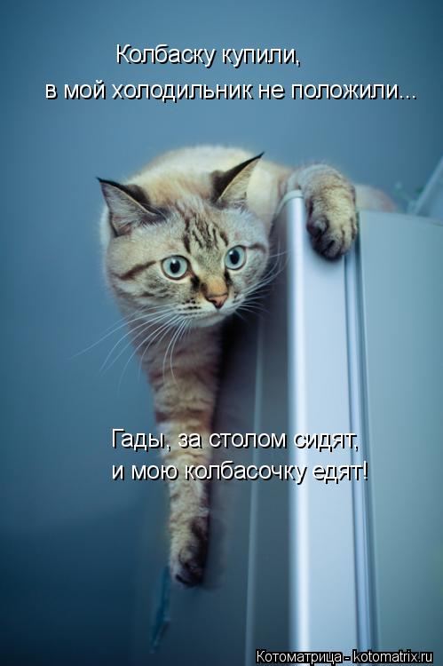 Котоматрица: Колбаску купили, в мой холодильник не положили... Гады, за столом сидят,  и мою колбасочку едят!
