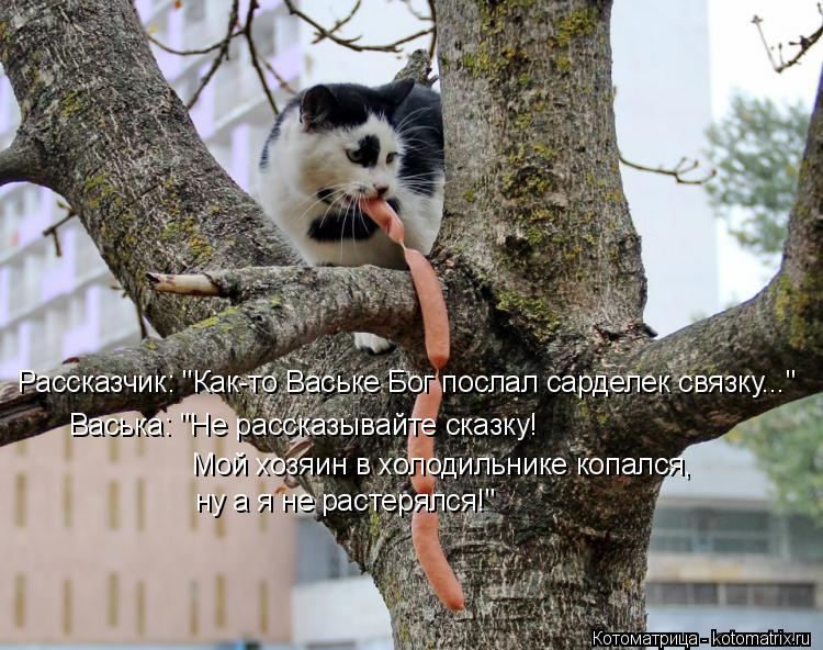 Котоматрица: Рассказчик: "Как-то Ваське Бог послал сарделек связку..." Васька: "Не рассказывайте сказку!  Мой хозяин в холодильнике копался,  ну а я не расте