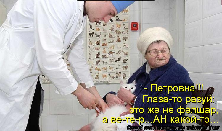 - Петровна!!! Глаза-то разуй: это же не фелшар, а ве-те-р...АН какой-то...... Котоматрица: - Петровна!!! Глаза-то разуй: это же не фелшар, а ве-те-р...АН какой-то...