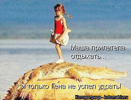 Котоматрица: Маша прилетела  отдыхать... и только Гена не успел удрать!