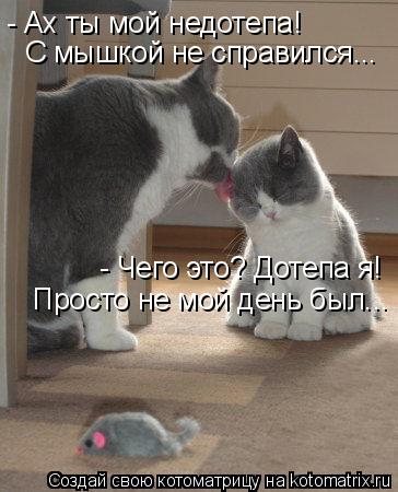 - Ах ты мой недотепа! С мышкой не справился... - Чего это? Дотепа я! Просто не мой день был...... Котоматрица: - Ах ты мой недотепа! С мышкой не справился... - Чего это? Дотепа я! Просто не мой день был...