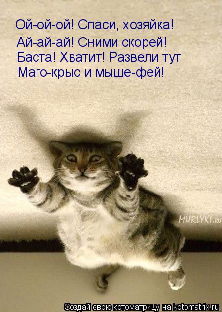 Котоматрица: Ой-ой-ой! Спаси, хозяйка! Ай-ай-ай! Сними скорей! Баста! Хватит! Развели тут Маго-крыс и мыше-фей!