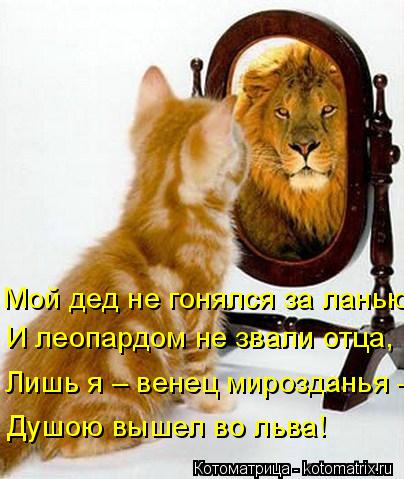 И леопардом не звали отца, Лишь я – венец мирозданья – Мой дед не гонялся за ланью, Душою вышел во ль... Котоматрица: И леопардом не звали отца, Лишь я – венец мирозданья – Мой дед не гонялся за ланью, Душою вышел во льва!