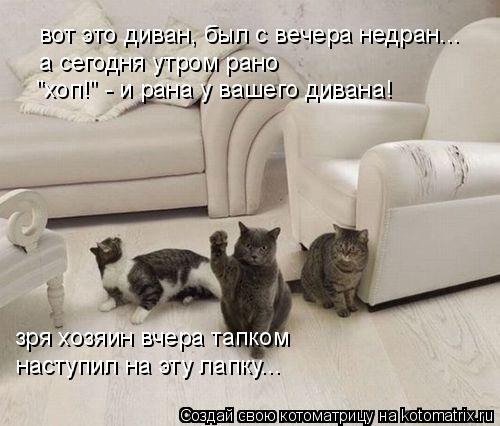 Котоматрица: вот это диван, был с вечера недран... а сегодня утром рано  "хоп!" - и рана у вашего дивана! зря хозяин вчера тапком наступил на эту лапку...