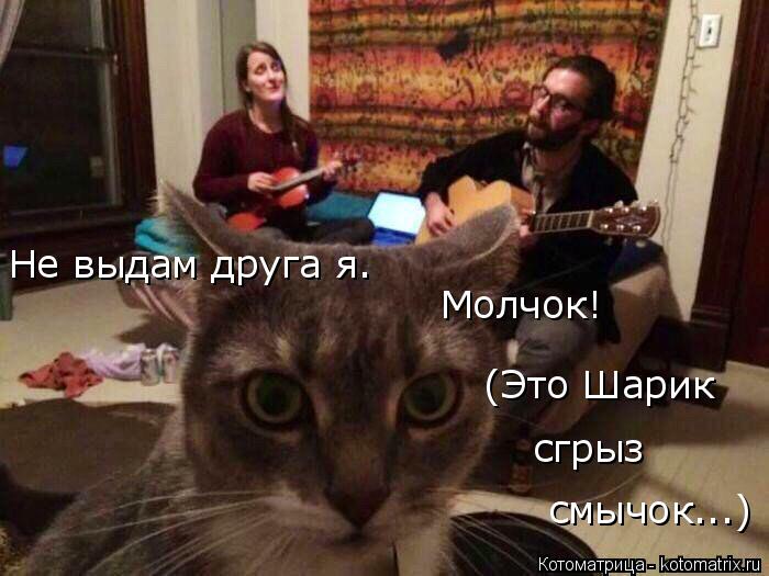 Котоматрица: Не выдам друга я.  Молчок! (Это Шарик  сгрыз  смычок...)