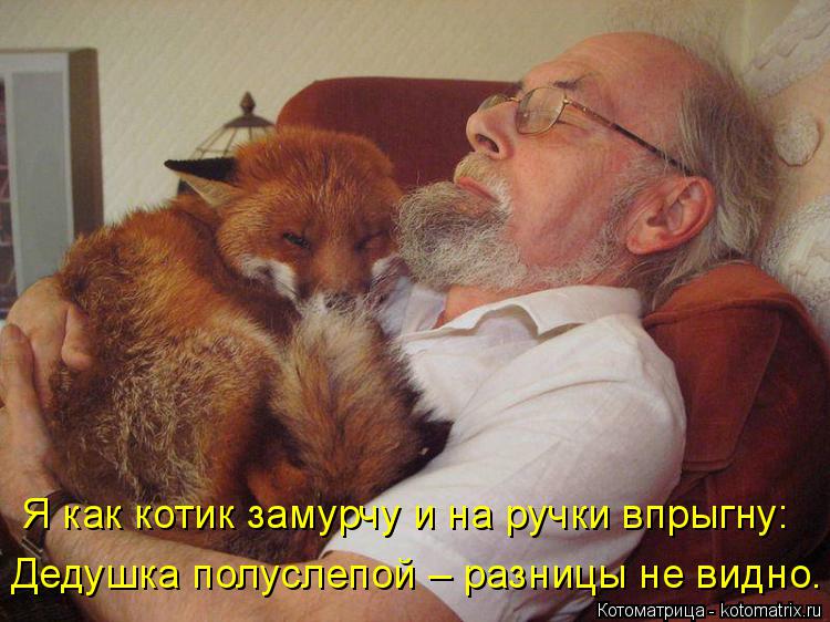Дедушка полуслепой – разницы не видно. Я как котик замурчу и на ручки впрыгну:... Котоматрица: Дедушка полуслепой – разницы не видно. Я как котик замурчу и на ручки впрыгну: