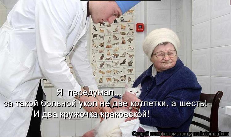 Котоматрица: Я  передумал... за такой больной укол не две котлетки, а шесть! И два кружочка краковской!