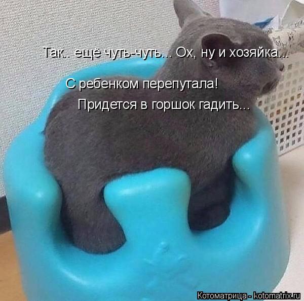 Так.. ещё чуть-чуть... Ох, ну и хозяйка... С ребенком перепутала! Придется в горшок гадить...... Котоматрица: Так.. ещё чуть-чуть... Ох, ну и хозяйка... С ребенком перепутала! Придется в горшок гадить...