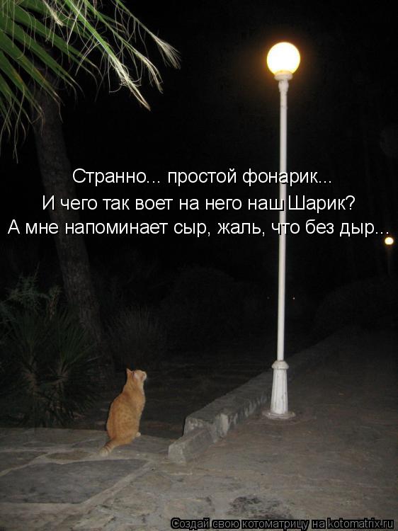 Котоматрица: Странно... простой фонарик... И чего так воет на него наш Шарик? А мне напоминает сыр, жаль, что без дыр...