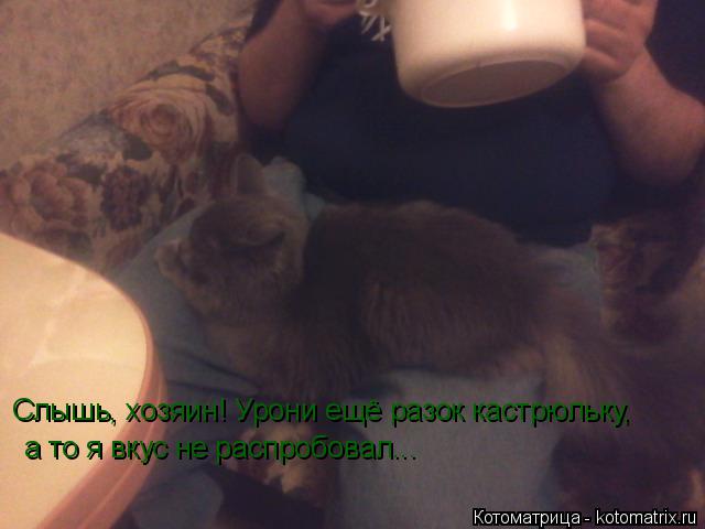 Котоматрица: Слышь, хозяин! Урони ещё разок кастрюльку,  а то я вкус не распробовал...