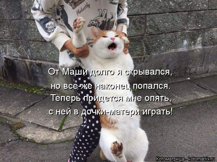 Котоматрица: Теперь придется мне опять, с ней в дочки-матери играть! От Маши долго я скрывался, но все-же наконец попался.