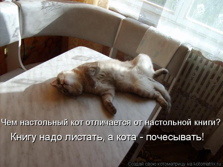 Чем настольный кот отличается от настольной книги? Книгу надо листать, а кота - почесывать!... Котоматрица: Чем настольный кот отличается от настольной книги? Книгу надо листать, а кота - почесывать!