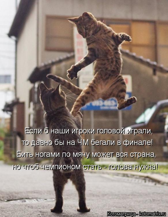 Котоматрица: Если б наши игроки головой играли, то давно бы на ЧМ бегали в финале! Бить ногами по мячу может вся страна, но чтоб чемпионом стать - голова ну