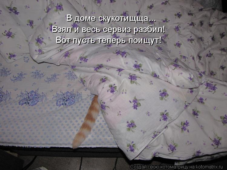 Котоматрица: В доме скукотищща... Взял и весь сервиз разбил! Вот пусть теперь поищут!