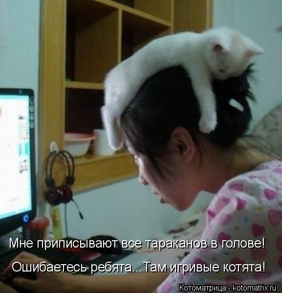 Котоматрица: Мне приписывают все тараканов в голове! Ошибаетесь ребята...Там игривые котята!