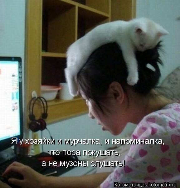 Котоматрица: Я у хозяйки и мурчалка, и напоминалка, что пора покушать, а не музоны слушать!