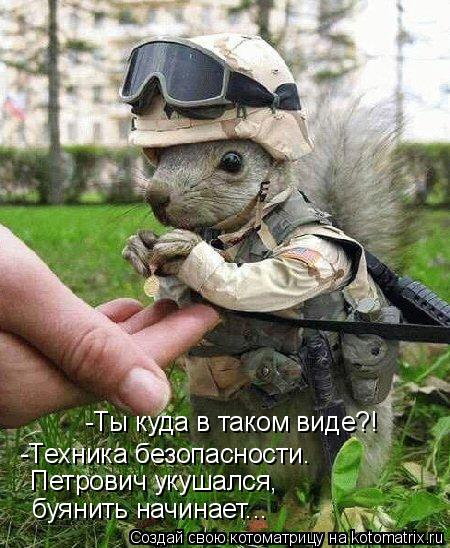 Котоматрица: -Ты куда в таком виде?! -Техника безопасности.  Петрович укушался,  буянить начинает...