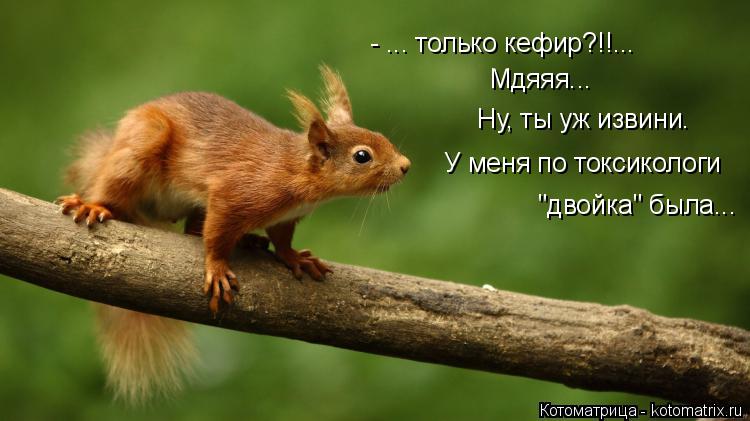 Котоматрица: Мдяяя... Ну, ты уж извини. - ... только кефир?!!... У меня по токсикологи  "двойка" была...