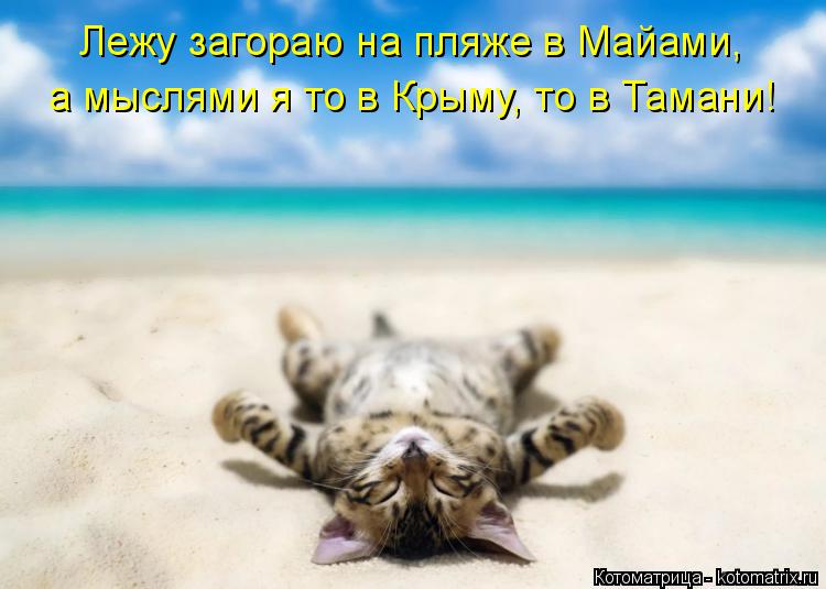 Лежу загораю на пляже в Майами, а мыслями я то в Крыму, то в Тамани!... Котоматрица: Лежу загораю на пляже в Майами, а мыслями я то в Крыму, то в Тамани!