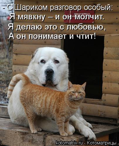 - С Шариком разговор особый: Я мявкну – и он молчит. Я делаю это с любовью, А он понимает и чтит!... Котоматрица: - С Шариком разговор особый: Я мявкну – и он молчит. Я делаю это с любовью, А он понимает и чтит!