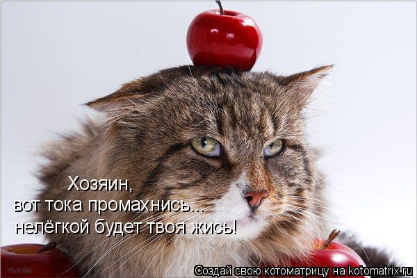 Котоматрица: Хозяин,  вот тока промахнись... нелёгкой будет твоя жись!