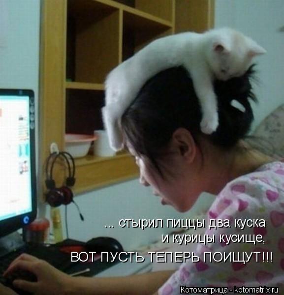 Котоматрица: ... стырил пиццы два куска и курицы кусище, ВОТ ПУСТЬ ТЕПЕРЬ ПОИЩУТ!!!