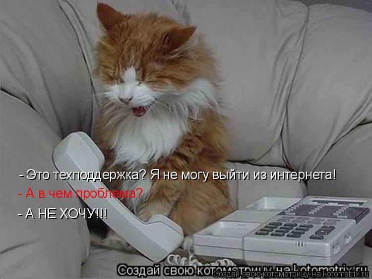 Котоматрица: - Это техподдержка? Я не могу выйти из интернета! - А в чем проблема? - А НЕ ХОЧУ!!!