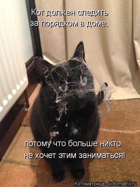 Котоматрица: Кот должен следить  за порядком в доме, потому что больше никто  не хочет этим заниматься! не хочет этим заниматься!