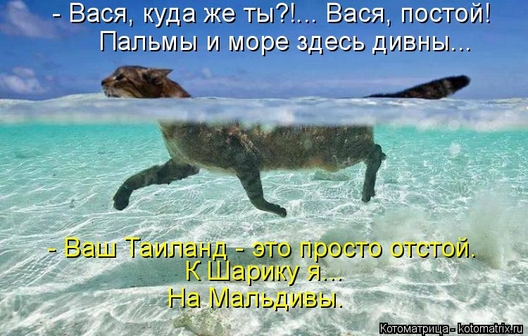 - Вася, куда же ты?!... Вася, постой! Пальмы и море здесь дивны... - Ваш Таиланд - это просто отстой.... Котоматрица: - Вася, куда же ты?!... Вася, постой! Пальмы и море здесь дивны... - Ваш Таиланд - это просто отстой. К Шарику я... На Мальдивы.