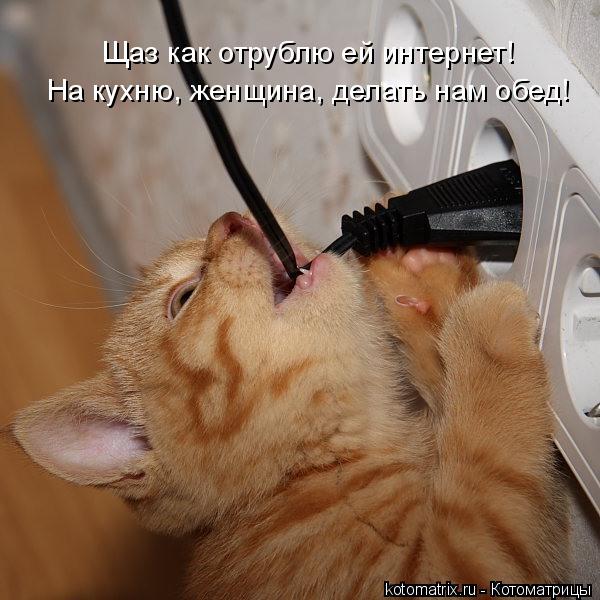 Котоматрица: Щаз как отрублю ей интернет! На кухню, женщина, делать нам обед!