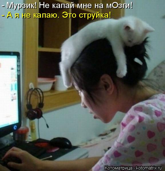 - Мурзик! Не капай мне на мОзги! - А я не капаю. Это струйка!... Котоматрица: - Мурзик! Не капай мне на мОзги! - А я не капаю. Это струйка!