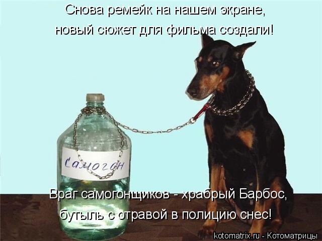 Котоматрица: Снова ремейк на нашем экране, новый сюжет для фильма создали! Враг самогонщиков - храбрый Барбос, бутыль с отравой в полицию снес!
