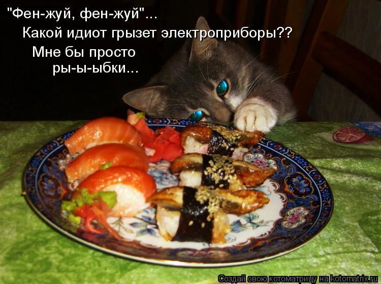 Котоматрица: "Фен-жуй, фен-жуй"... ры-ы-ыбки... Какой идиот грызет электроприборы?? Мне бы просто