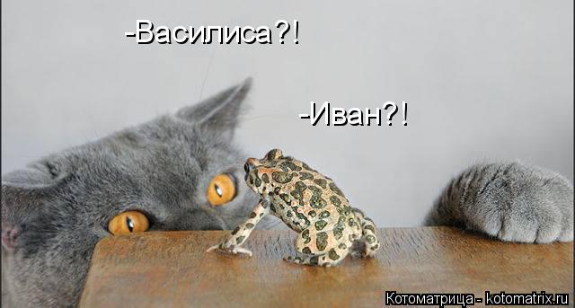 Котоматрица: -Василиса?! -Иван?!