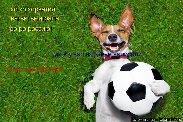 Котоматрица: хо хо хорватия вы вы выиграла тихо! у нас на стене написали: Стас, ты-УНИТАЗ! ро ро россию!