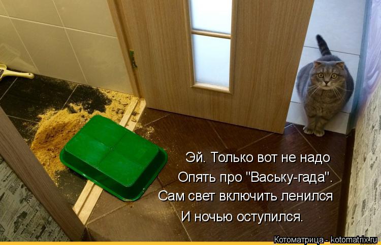 Котоматрица: Эй. Только вот не надо Опять про "Ваську-гада". Сам свет включить ленился И ночью оступился.