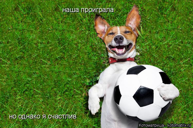 Котоматрица: наша проиграла но однако я счастлив