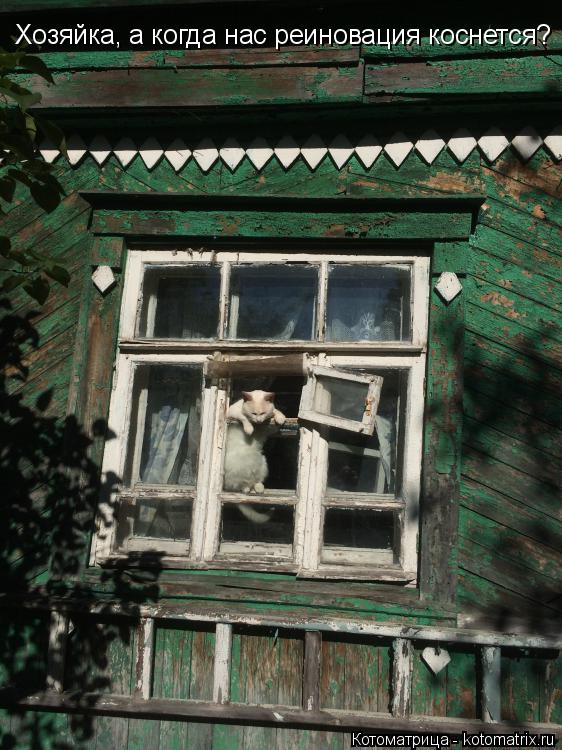 Котоматрица: Хозяйка, а когда нас реиновация коснется?