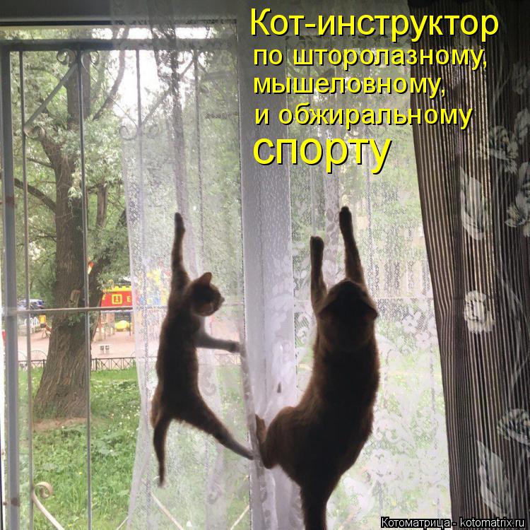 Кот-инструктор по шторолазному, мышеловному, и обжиральному спорту... Котоматрица: Кот-инструктор по шторолазному, мышеловному, и обжиральному спорту