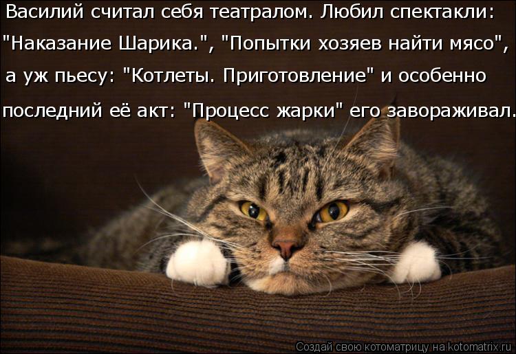 Василий считал себя театралом. Любил спектакли: "Наказание Шарика.", "Попытки хозяев найти мясо", а у... Котоматрица: Василий считал себя театралом. Любил спектакли: "Наказание Шарика.", "Попытки хозяев найти мясо", а уж пьесу: "Котлеты. Приготовление" и особен
