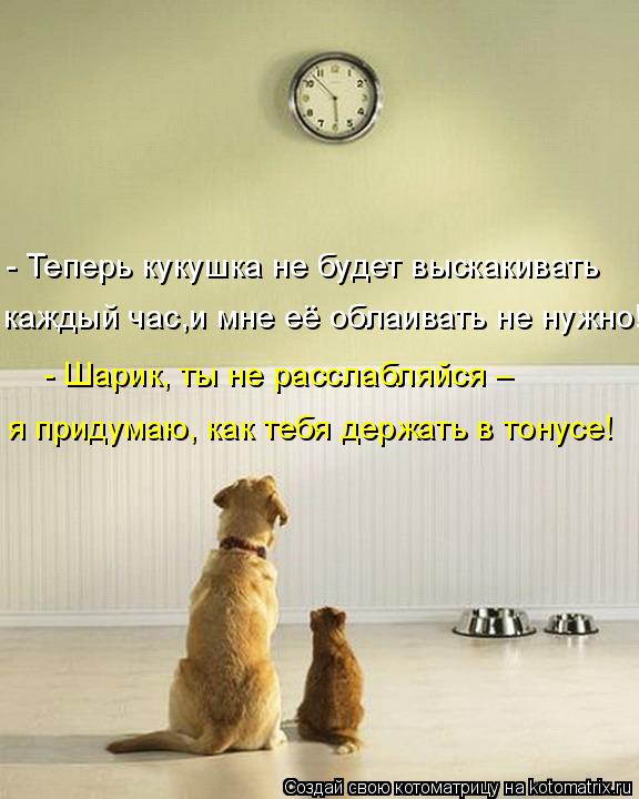 - Теперь кукушка не будет выскакивать каждый час,и мне её облаивать не нужно! - Шарик, ты не расслабл... Котоматрица: - Теперь кукушка не будет выскакивать каждый час,и мне её облаивать не нужно! - Шарик, ты не расслабляйся – я придумаю, как тебя держать в тон?
