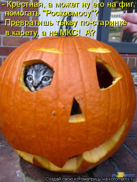 - Крёстная, а может ну его на фиг помогать "Роскосмосу"? Превратишь тыкву по-старинке в карету, а не... Котоматрица: - Крёстная, а может ну его на фиг помогать "Роскосмосу"? Превратишь тыкву по-старинке в карету, а не МКС! А?