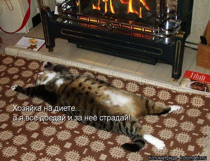 Котоматрица: Хозяйка на диете... а я все доедай и за неё страдай!