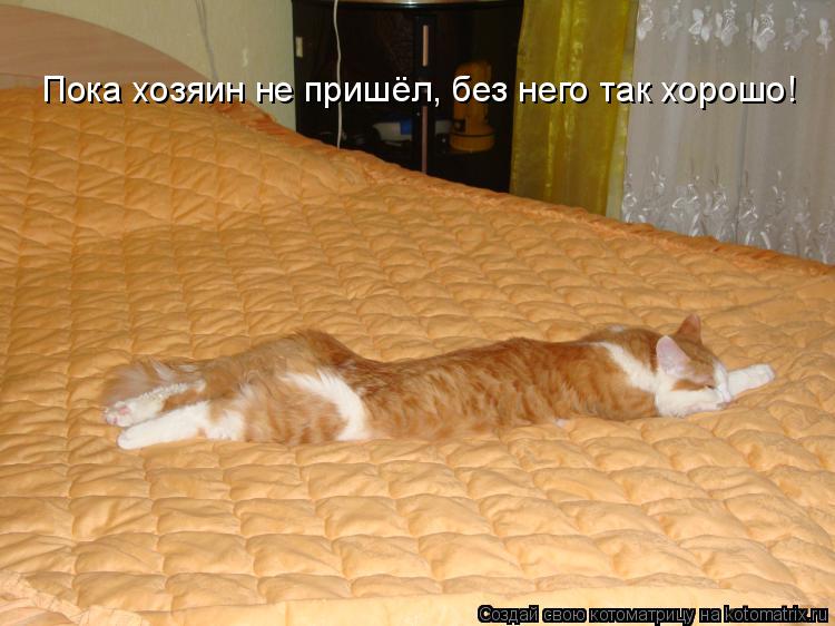 Котоматрица: Пока хозяин не пришёл, без него так хорошо!