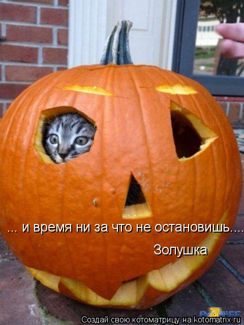 ... и время ни за что не остановишь.... Золушка... Котоматрица: ... и время ни за что не остановишь.... Золушка