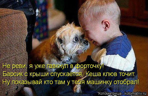 Не реви, я уже гавкнул в форточку - Не реви, я уже гавкнул в форточку! Барсик с крыши спускается, Ке... Котоматрица: Не реви, я уже гавкнул в форточку - Не реви, я уже гавкнул в форточку! Барсик с крыши спускается, Кеша клюв точит. Ну показывай кто там у тебя м