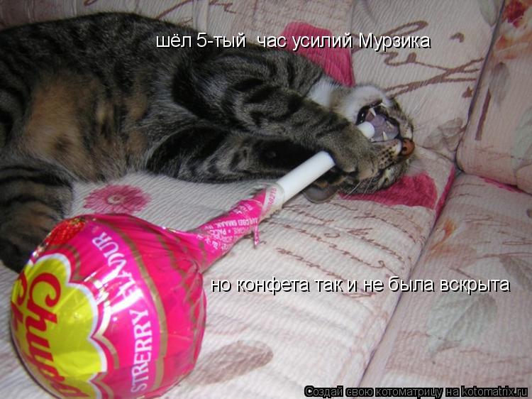 шёл 5-тый час усилий Мурзика но конфета так и не была вскрыта... Котоматрица: шёл 5-тый час усилий Мурзика но конфета так и не была вскрыта